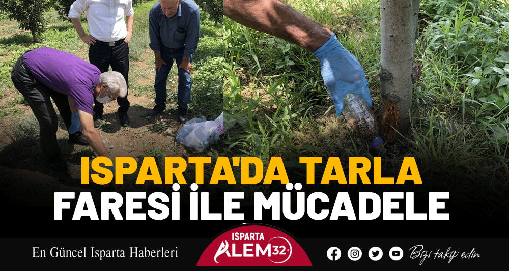 ISPARTA'DA TARLA FARESİ İLE MÜCADELE