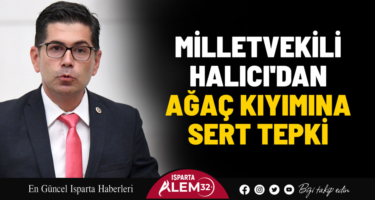 Milletvekili Halıcı'dan Ağaç Kıyımına Sert Tepki