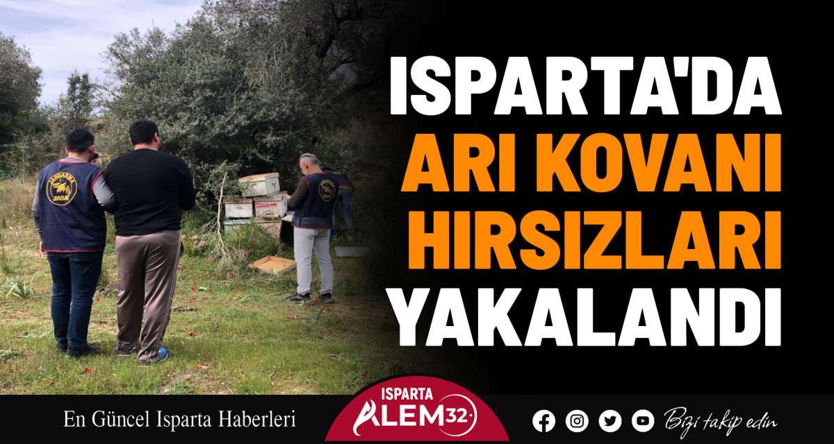Isparta’nın Atabey İlçesi’nde C.G isimli şahsın bahçesinde Arı Kovan Hırsızlığı