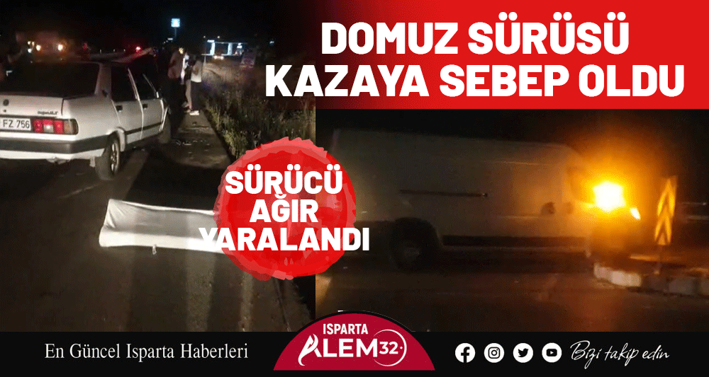 Eğirdir ilçesinde meydana gelen trafik kazasında, domuz sürüsüne çarpan otomobil