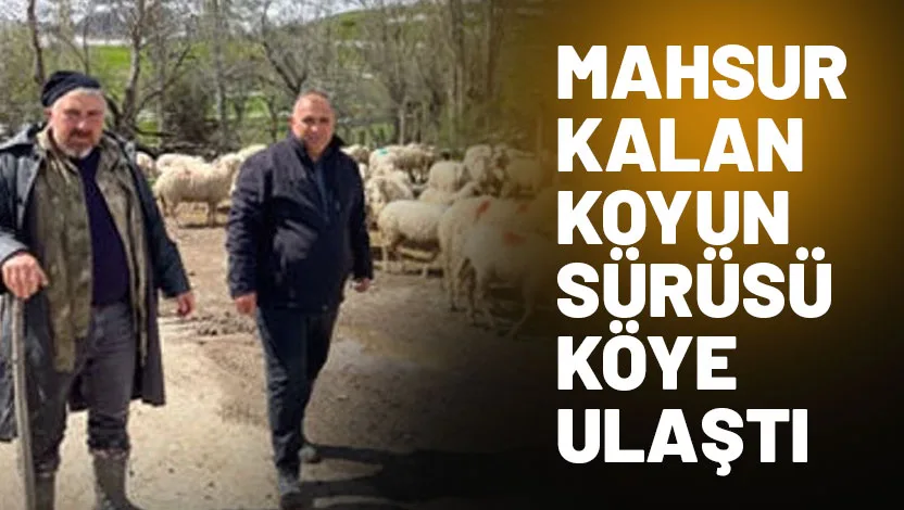 Isparta’nın Yalvaç ilçesine bağlı Yarıkkaya köyünde yaylada mahsur kalan 600