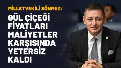 Isparta Milletvekili Hasan Basri Sönmez, Türkiye Büyük Millet Meclisi’nde (TBMM)