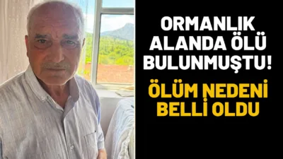 Isparta'nın Eğirdir ilçesine bağlı Yuvalı köyünde ormanlık alanda hareketsiz halde
